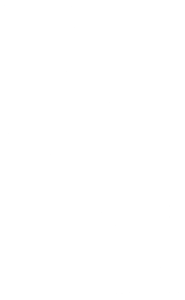 IN SITU